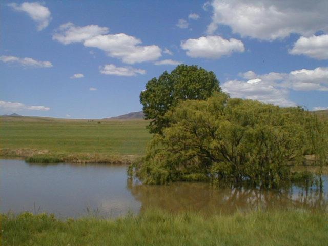 Villa Royal Coachman Clarens Exterior foto